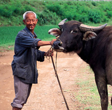 小型飼料顆粒機,農(nóng)民圓夢！