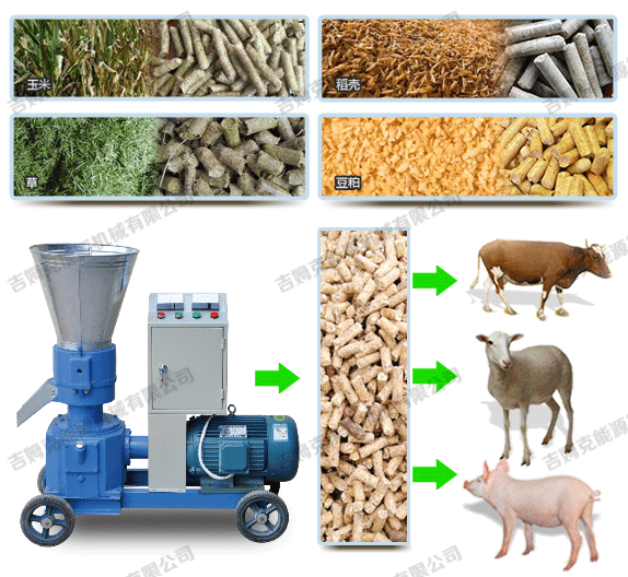 秸稈顆粒機(jī)壓制牛羊豬飼料顆粒過程